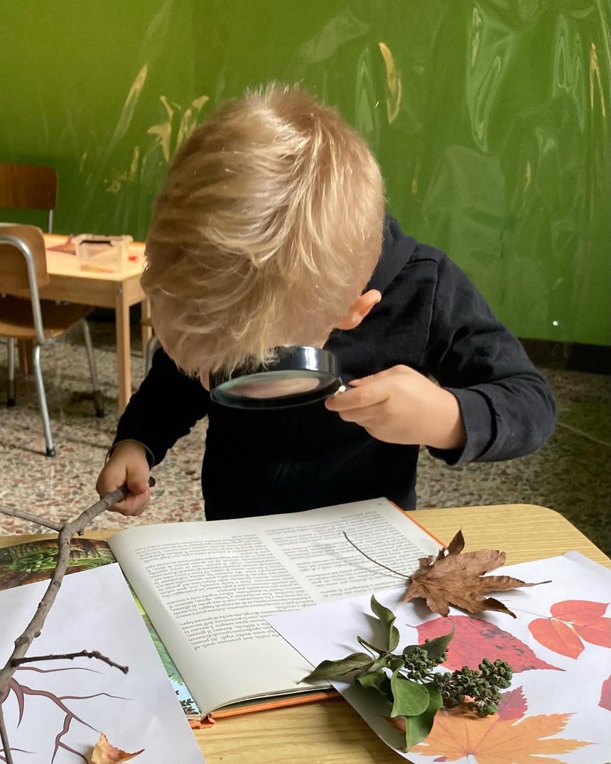 Un bambino osserva con una lente d'ingrandimento foglie e rametti