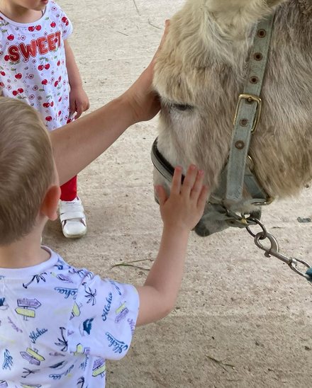 Due bambini accarezzano un asino